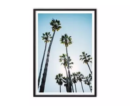 Постер в рамке Зеленые пальмы 1