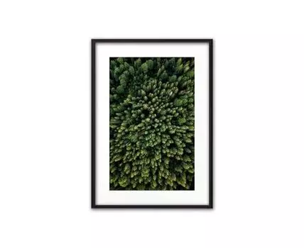 Постер в рамке Зеленый лес с высоты 50х70 см (Зеленый, 70)