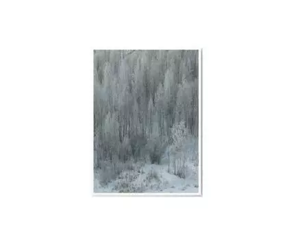 Постер WINTER FOREST - 30x40 см