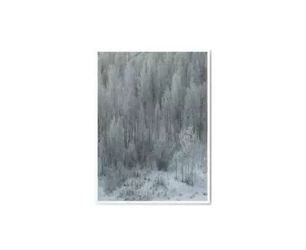 Постер WINTER FOREST - 50x70 см (голубой, серый, 70)
