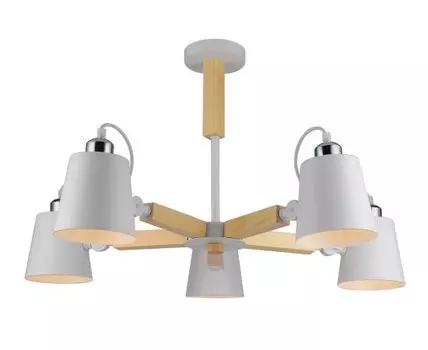 Потолочная люстра ArteLamp OSCAR