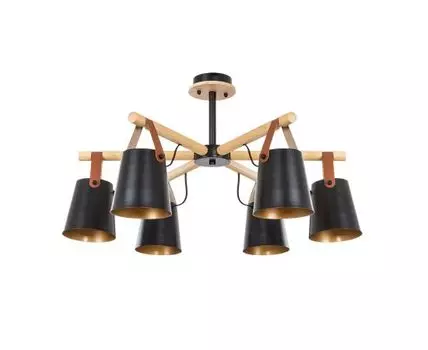 Потолочная люстра ArteLamp THOMAS