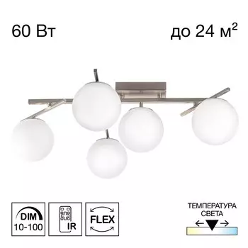 Потолочная люстра Citilux DORSY