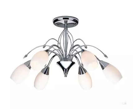 Потолочная люстра Eurosvet 22080/6 (Белый)