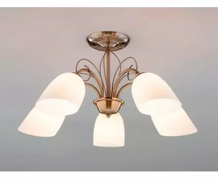 Потолочная люстра Eurosvet 30107/5 (Белый)