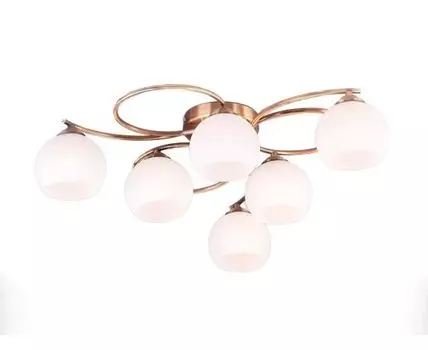 Потолочная люстра Eurosvet 30144/6 (Белый)