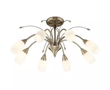 Потолочная люстра Eurosvet 30280/8 (Белый)