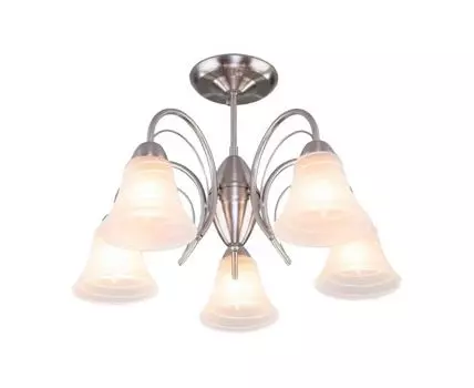 Потолочная люстра Eurosvet Dana 30173/5 (Черный)