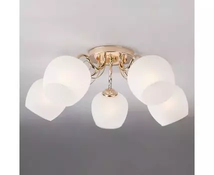 Потолочная люстра Eurosvet Wendy