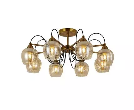 Потолочная люстра Evoluce ACRO