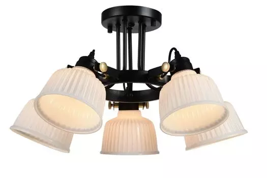 Потолочная люстра Evoluce ALETANTE