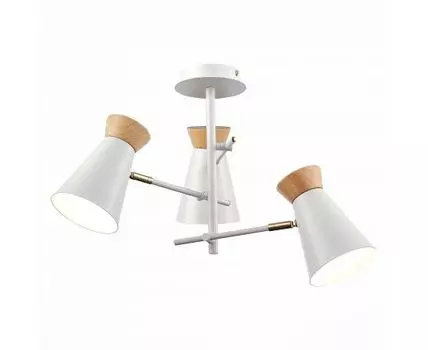 Потолочная люстра Evoluce ALFEO