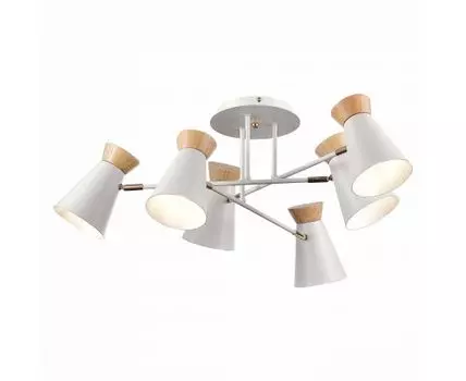 Потолочная люстра Evoluce ALFEO