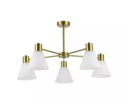 Потолочная люстра Evoluce ARKI