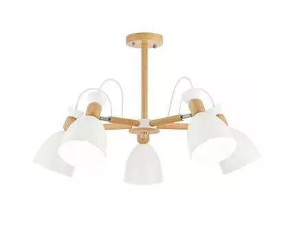 Потолочная люстра Evoluce BALCAMO