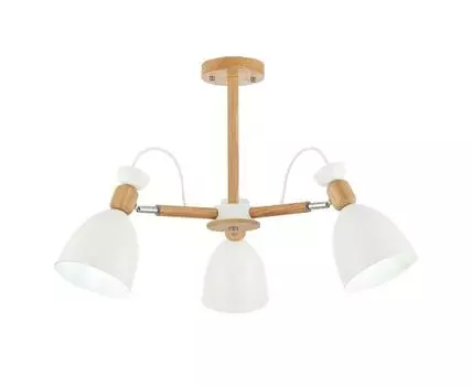 Потолочная люстра Evoluce BALCAMO