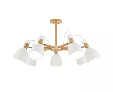 Потолочная люстра Evoluce BALCAMO