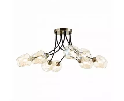 Потолочная люстра Evoluce BESANO