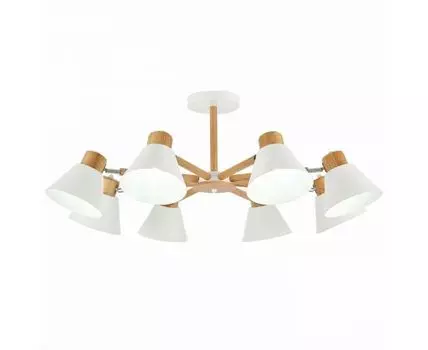 Потолочная люстра Evoluce BUVE