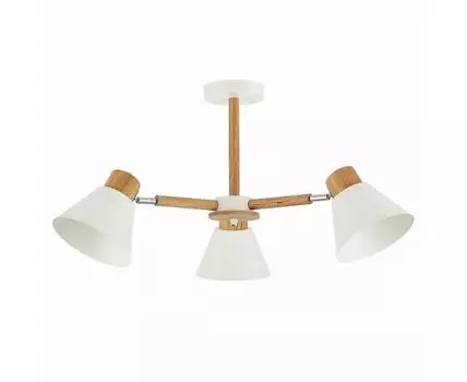 Потолочная люстра Evoluce BUVE