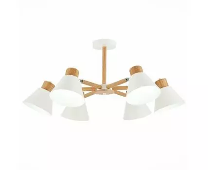 Потолочная люстра Evoluce BUVE