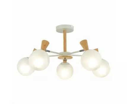 Потолочная люстра Evoluce CATANIA