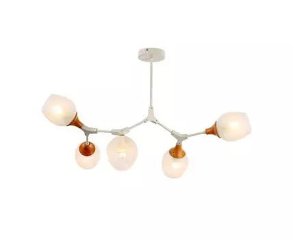 Потолочная люстра Evoluce CIOTOLLA