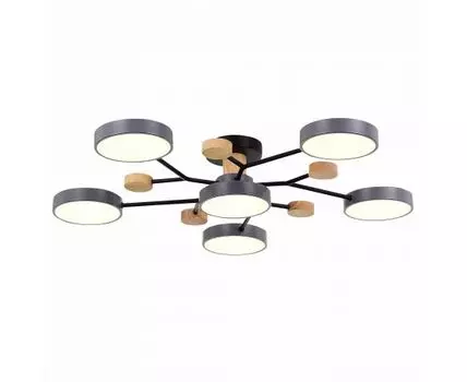 Потолочная люстра Evoluce FAEMA