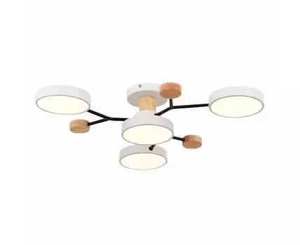 Потолочная люстра Evoluce FAEMA