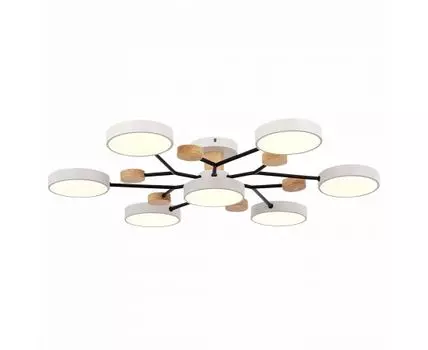 Потолочная люстра Evoluce FAEMA