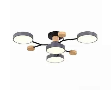 Потолочная люстра Evoluce FAEMA