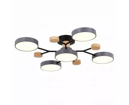 Потолочная люстра Evoluce FAEMA