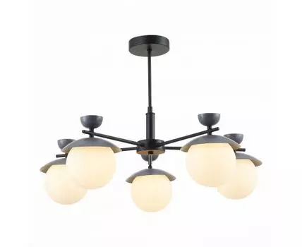 Потолочная люстра Evoluce GENOVA