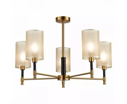 Потолочная люстра Evoluce GRANZE