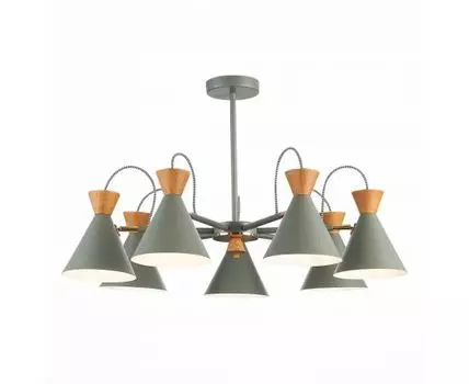 Потолочная люстра Evoluce Modica