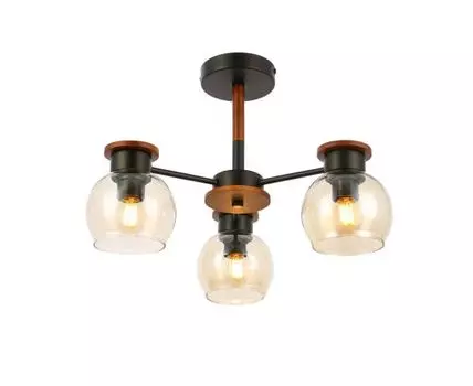 Потолочная люстра Evoluce RASCO