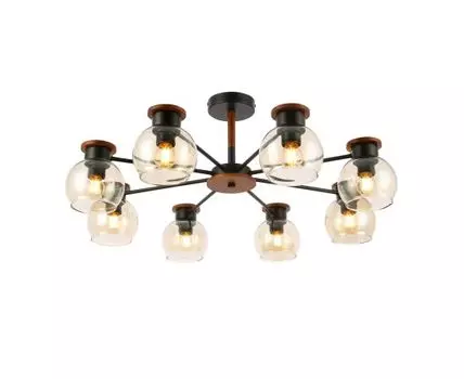 Потолочная люстра Evoluce RASCO