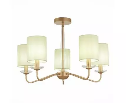 Потолочная люстра Evoluce RITA