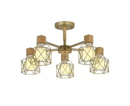 Потолочная люстра Evoluce STELITTO