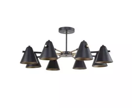 Потолочная люстра F-Promo Rigor