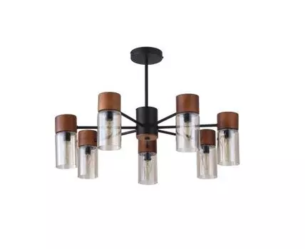 Потолочная люстра F-Promo Torr