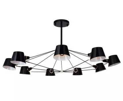 Потолочная люстра Favourite Eimer Black