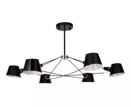 Потолочная люстра Favourite Eimer Black