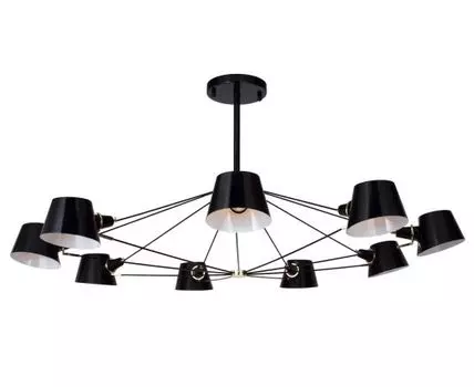 Потолочная люстра Favourite Eimer Black