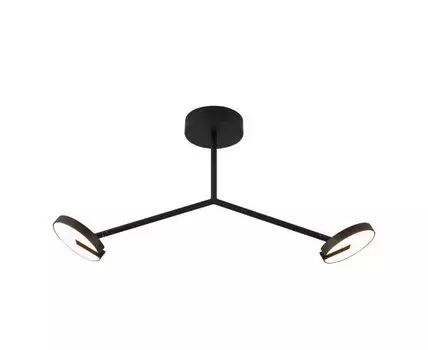 Потолочная люстра Favourite Paritet