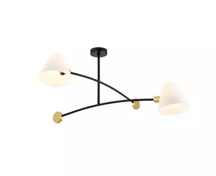 Потолочная люстра Favourite Statera