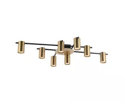 Потолочная люстра Favourite Topper