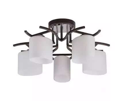 Потолочная люстра Imex 2441 MD.2441-5-S BR+CH