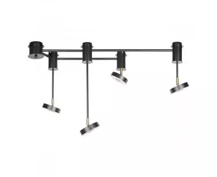 Потолочная люстра Loft IT Flock