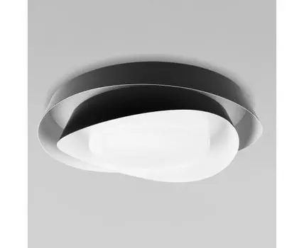 Потолочная люстра LOFT IT Petale